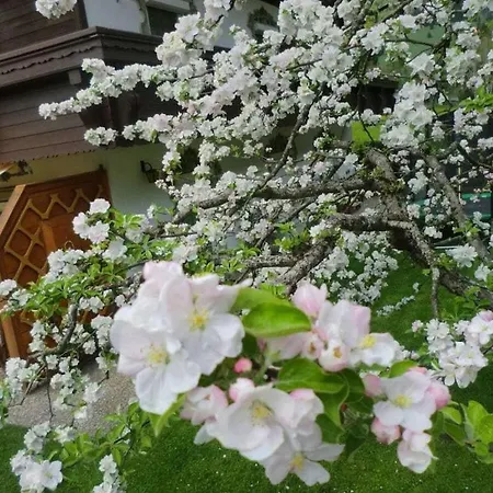 In The Bergblick House Walchsee