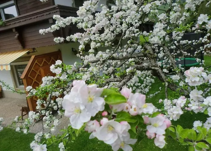 In The Bergblick House Walchsee